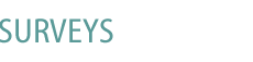 Surveys